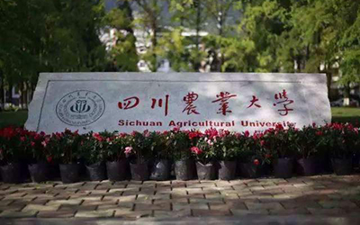 四川農業大學遠程與繼續教育學院