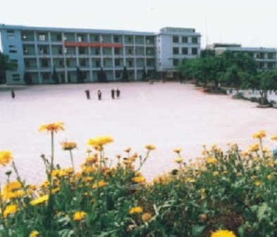 重慶市永川中學?！赋踔胁俊?></a></div>
            <dl>
              <dt><a href=