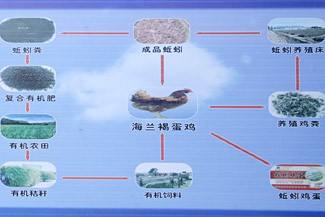 循環農業生產與管理