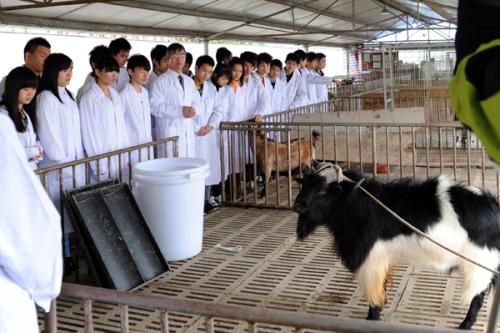 畜牧獸醫專業