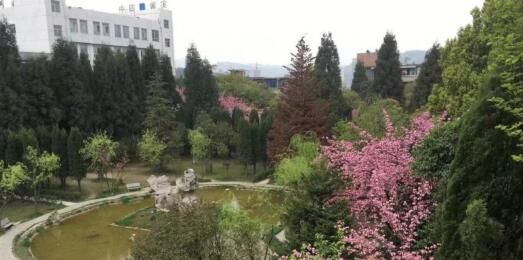 畢節第四實驗高級中學