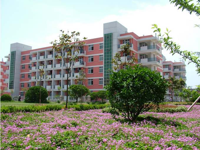 安州區廣播電視大學 「電大」
