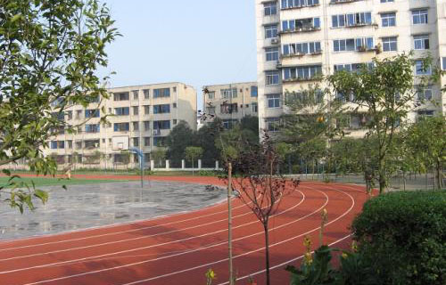 龍泉驛區大面中學校