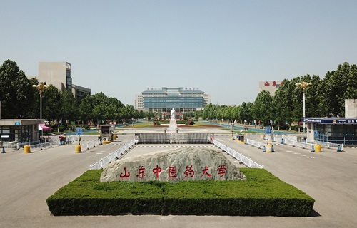山東中醫藥大學繼續教育學院