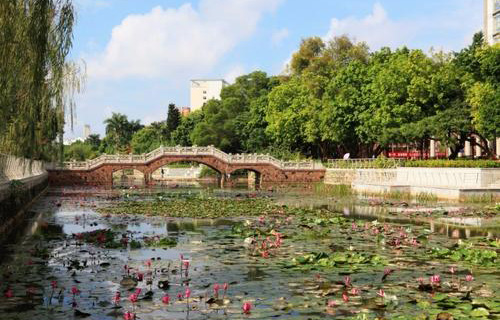 廣西醫科大學繼續教育學院