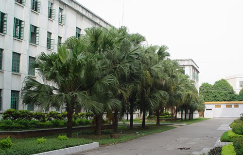廣西工業職業技術學院繼續教育中心