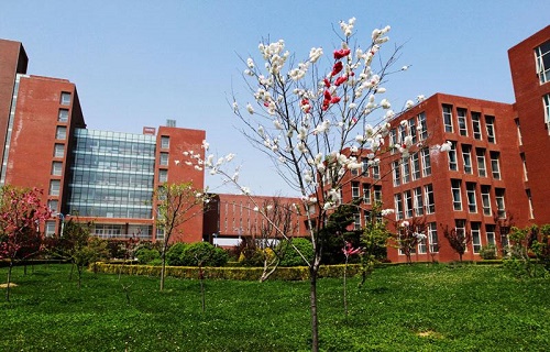 中國農業大學自考