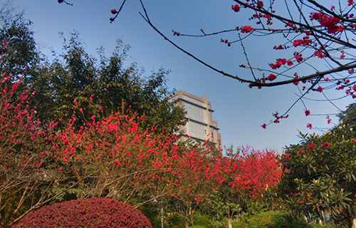 東川區高級中學