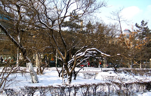哈爾濱工業大學網絡教育學院