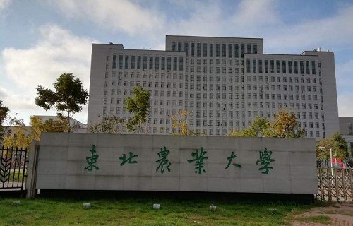 東北農業大學網絡教育學院