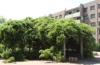 濰坊寒亭區技工學校
