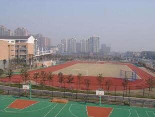 綿陽市游仙區新橋鎮初級中學