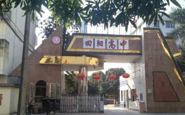 廣西壯族自治區田陽高中