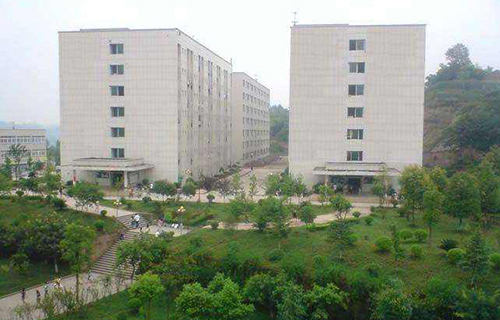 邛崍市下壩鄉九年制學校
