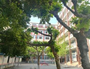 貴州省納雍縣樂治鎮樂治中學