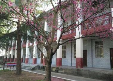 綿竹市興隆鎮學校