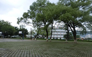 惠陽市鎮隆中學
