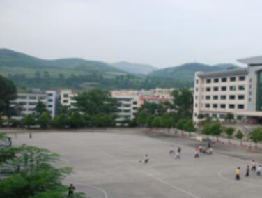 興義市馬嶺鎮龍井中學