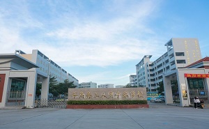 茂港區羊角中學