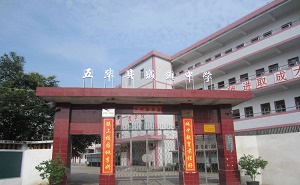 五華縣城鎮中學