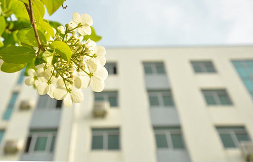 貴陽市花溪區小碧鄉柏臘山中學