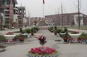 綿竹市孝德鎮中學