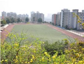 綿竹市興隆鎮中學校
