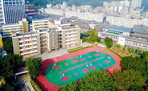 深圳市龍崗區東升學校