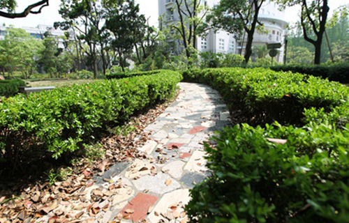 重慶市渝北區竹林實驗學校