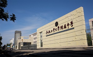 合肥工業大學附屬中學