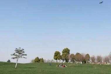 渦陽縣石弓鎮大寺中學