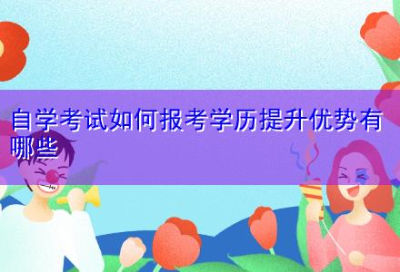自學考試如何報考學歷提升優勢有哪些