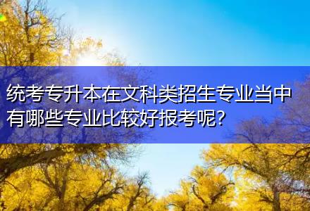 統考專升本在文科類招生專業當中有哪些專業比較好報考呢？