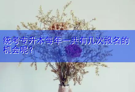 統考專升本每年一共有幾次報名的機會呢？