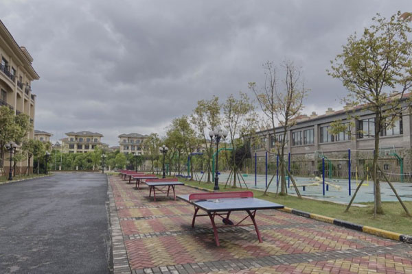 重慶市樹人中學校怎么樣?