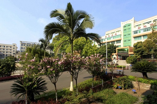 成都中醫藥大學峨眉學院招生辦聯系電話