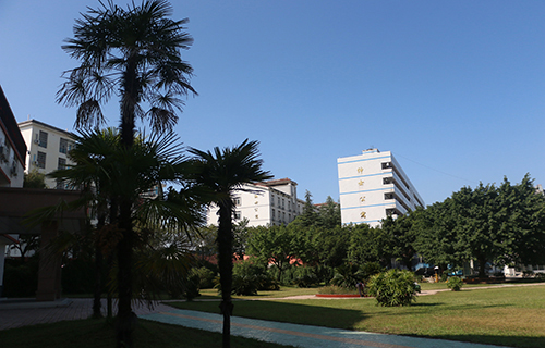 威信縣職業中學地址在哪