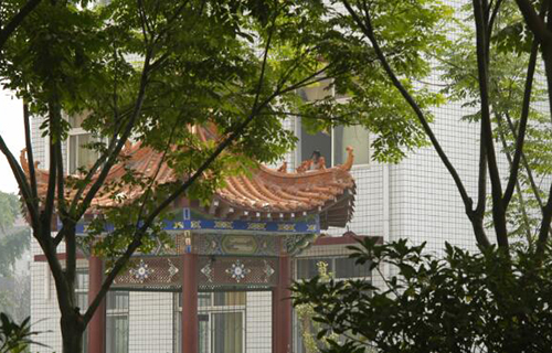 河南農業職業學院2021年招生計劃