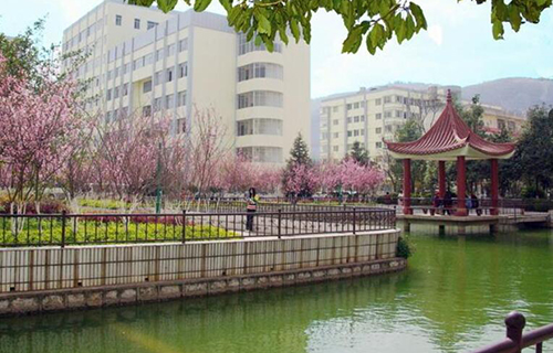 云南科技信息職業學院2021年招生條件