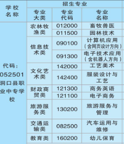 洞口縣第一職業中學專業