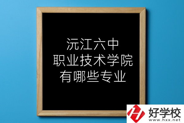 湖南沅江六中職業技術學院有哪些專業？