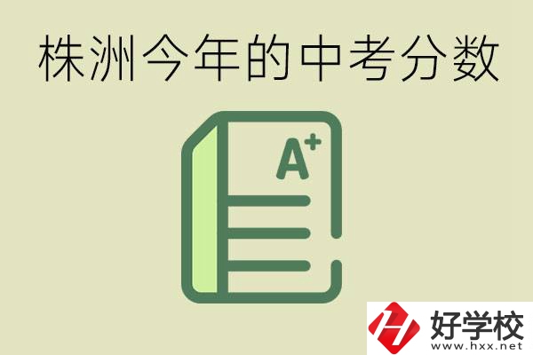 株洲今年中考多少分能上高中？沒考上有什么選擇？