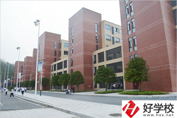 益陽有哪些職高比較有辦學特色？職高入學要求高不高？