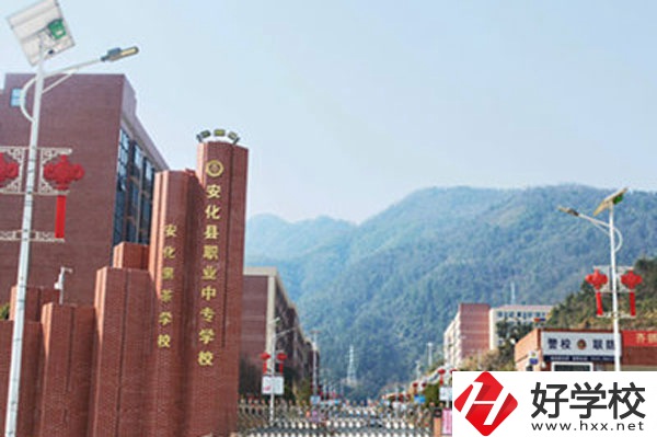 益陽市有美術專業的學校有幾所?分別介紹一下