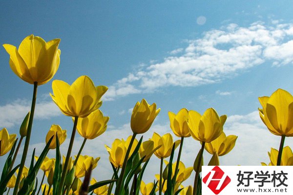 岳陽有開設工業機器人技術應用專業的中職學校嗎？