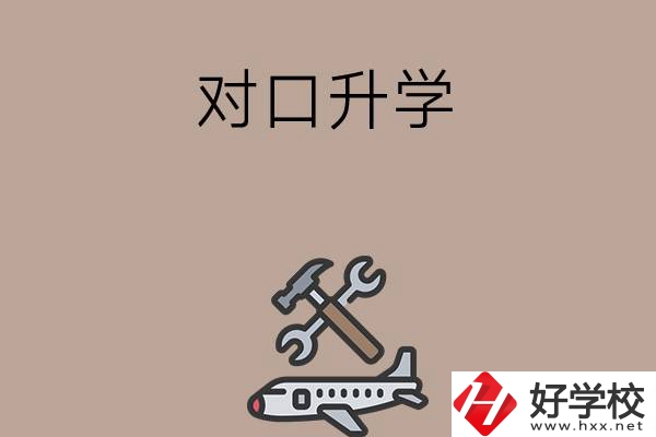 職高學生參加湖南省對口升學，有什么本科可以報考？