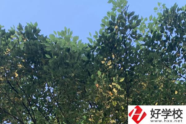 邵陽職業技術學校就業好不好？值得報考嗎？