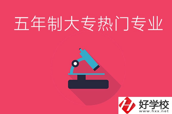 湖南五年制大專最熱門的專業有哪些？