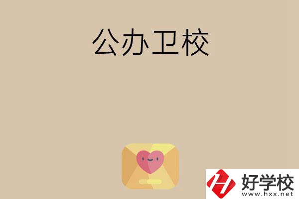 想在湖南上公辦衛校？這所學校值得一看