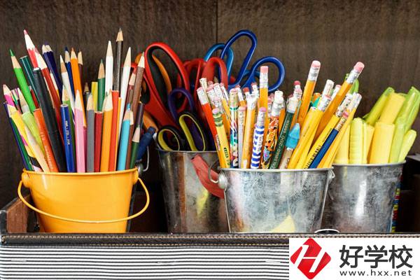 在懷化有什么職?？梢詫W習幼師？好不好？